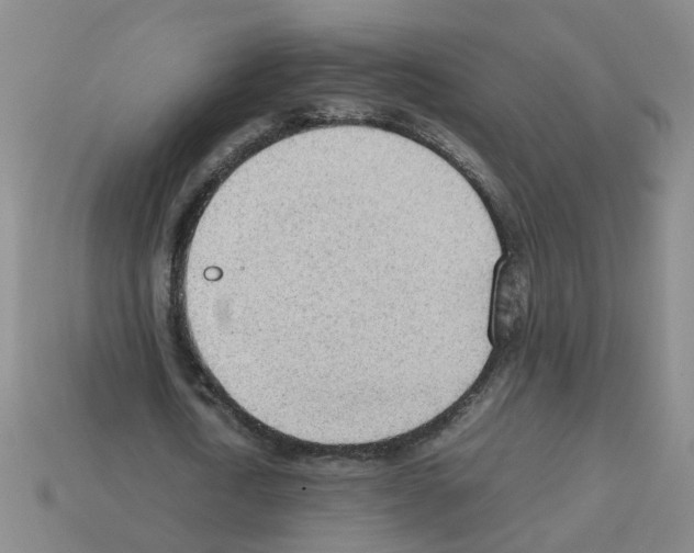 X0000112810722200910021140
