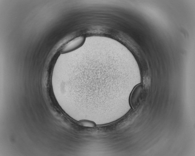 X0000112810724200910021140