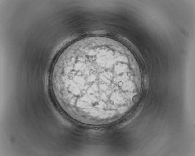 X0000112810725200910021140