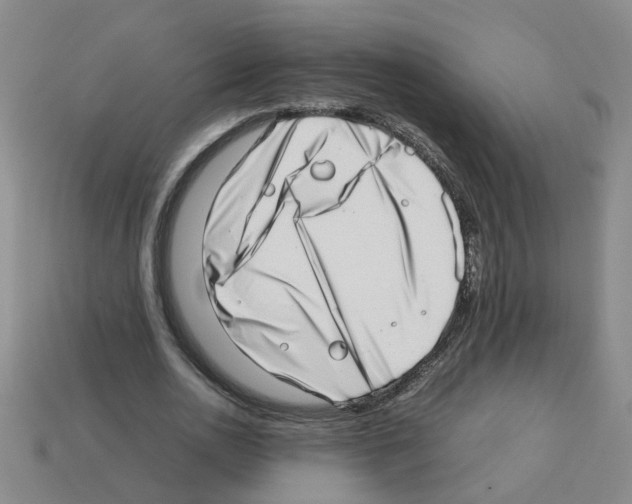 X0000112810726200910021140