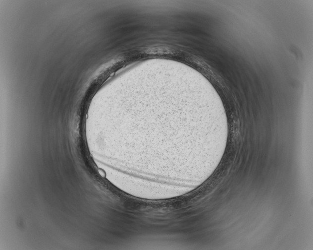 X0000112810727200910021140