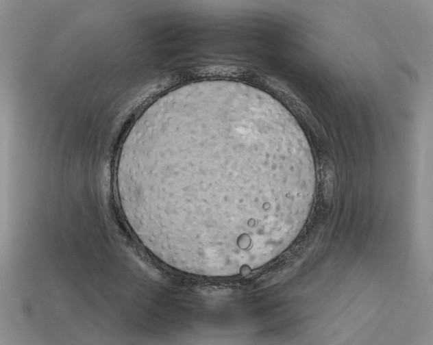 X0000112810729200910021140