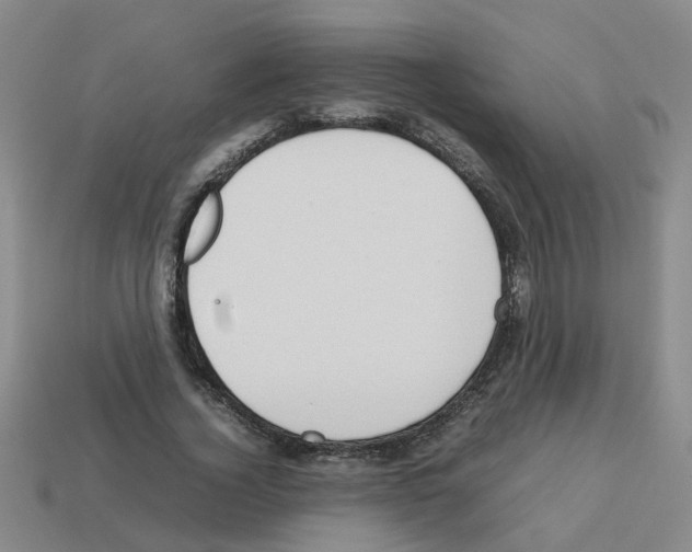 X0000112810732200910021140