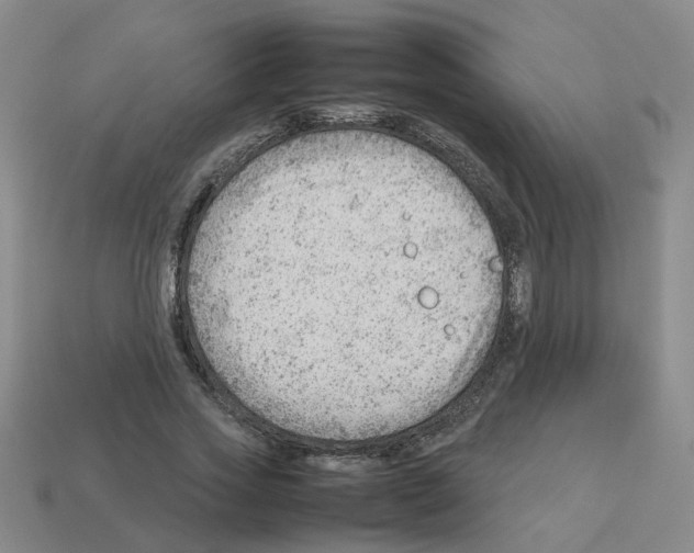 X0000112810733200910021140
