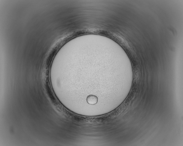 X0000112810736200910021140