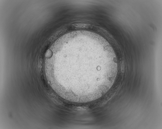 X0000112810737200910021140