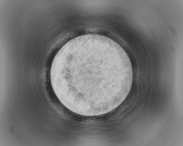 X0000112810738200910021140
