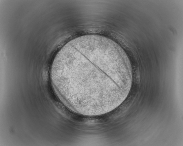 X0000112810746200910021140