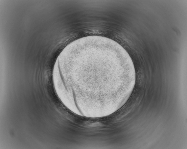 X0000112810747200910021140