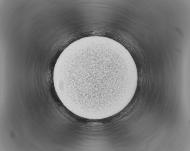 X0000112810748200910021140