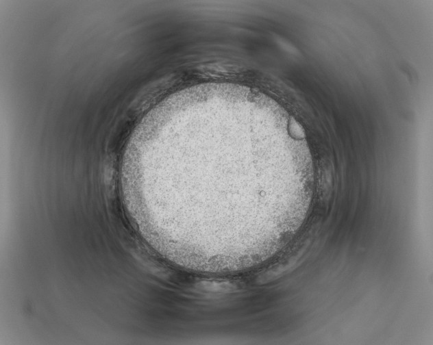 X0000112810749200910021140