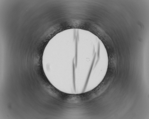 X0000112810750200910021140