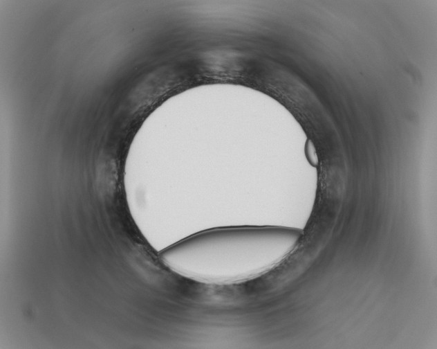 X0000112810752200910021140