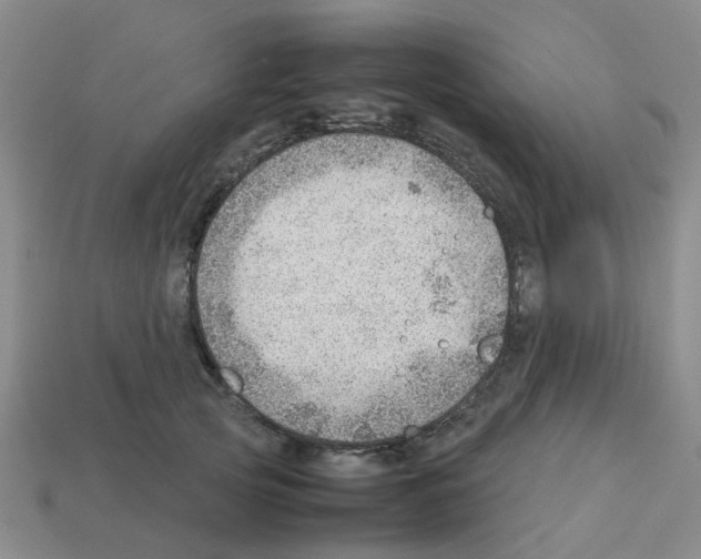 X0000112810753200910021140