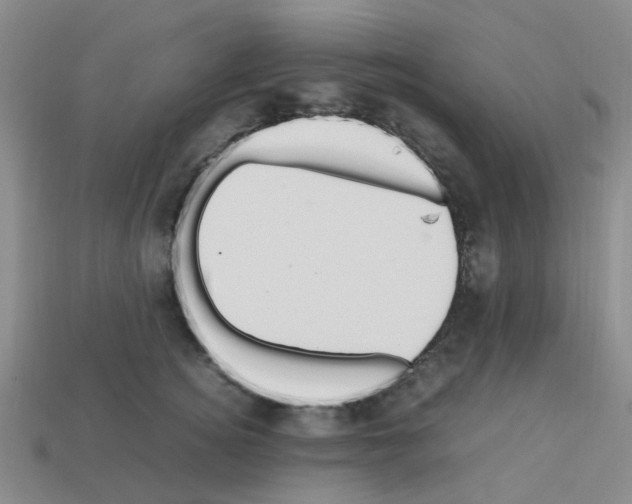 X0000112810756200910021140