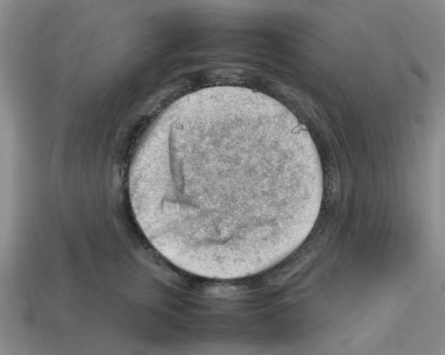 X0000112810759200910021140