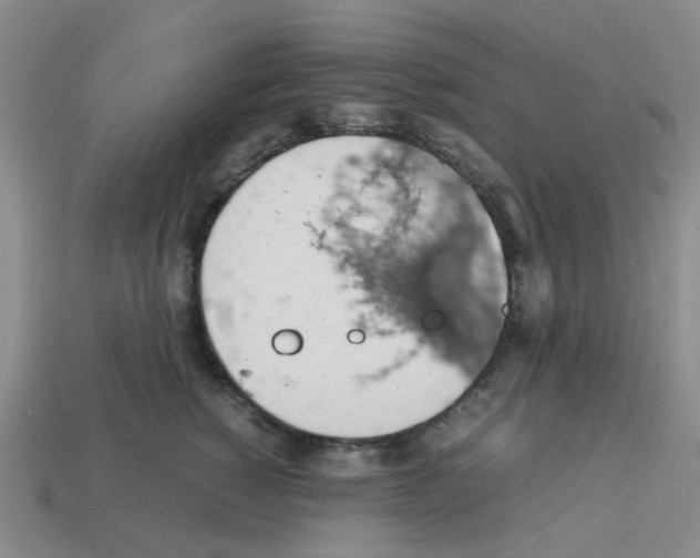 X0000112810760200910021140