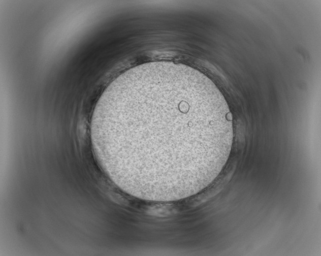 X0000112810761200910021140