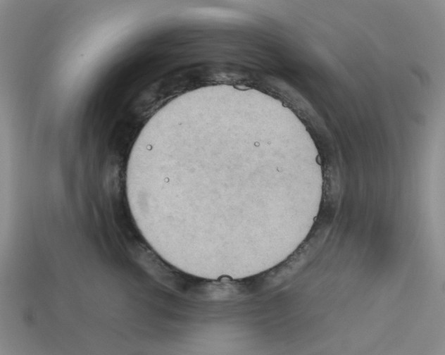 X0000112810762200910021140