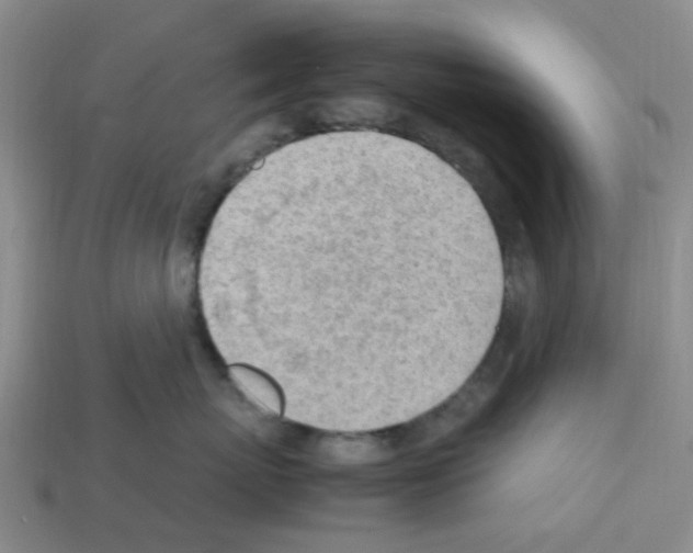 X0000112810767200910021140