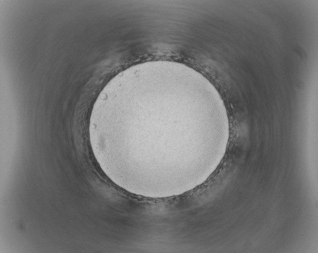 X0000112810769200910021140