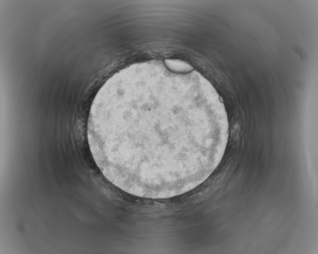 X0000112810772200910021140