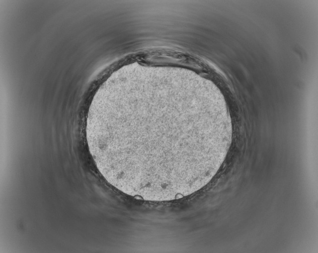 X0000112810775200910021140