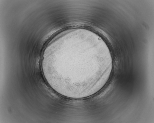 X0000112810778200910021140