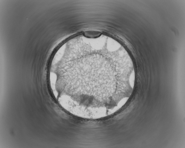 X0000112810779200910021140