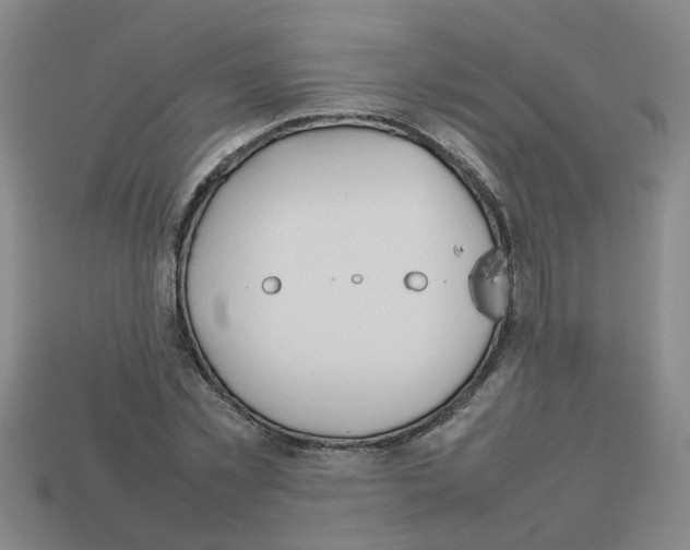 X0000112810781200910021140
