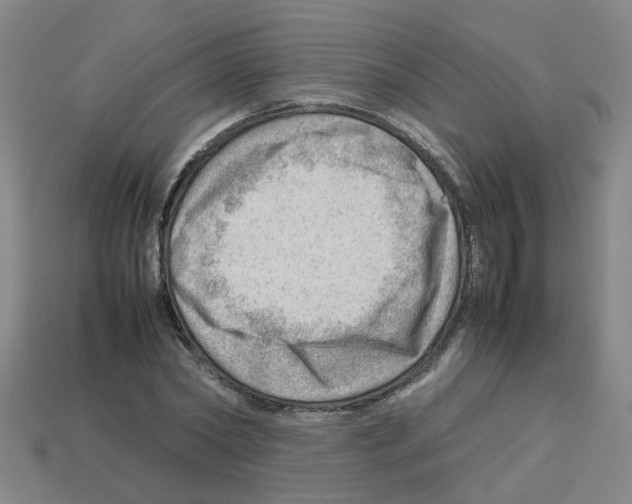 X0000112810782200910021140