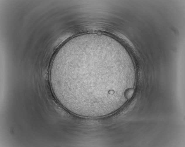 X0000112810785200910021140