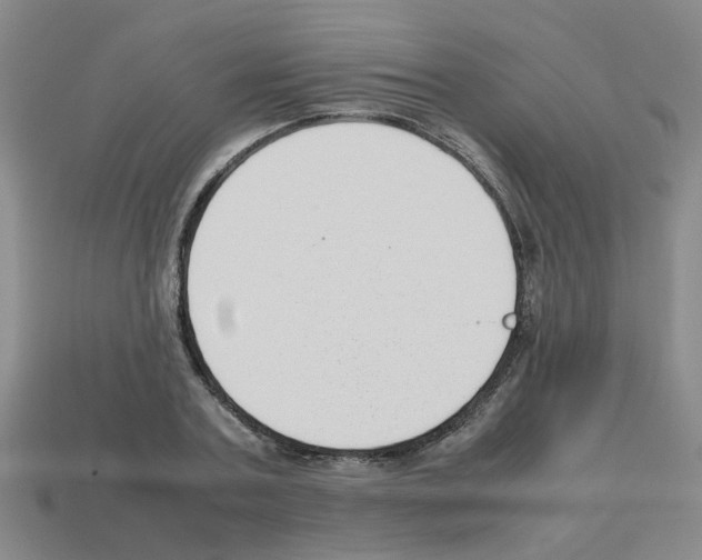 X0000112810787200910021140