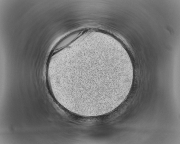 X0000112810791200910021140