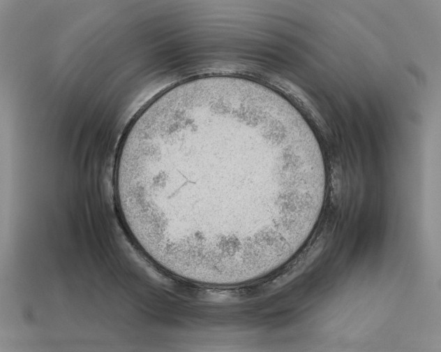 X0000112810794200910021140