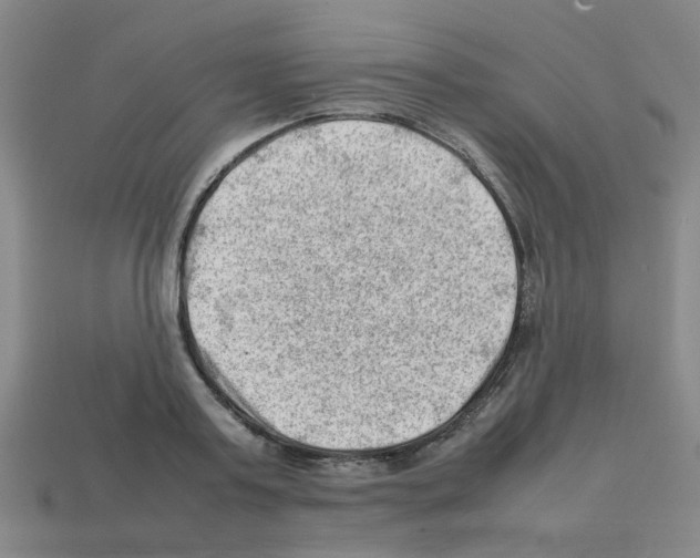 X0000112810795200910021139