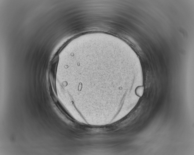 X0000112810796200910021139