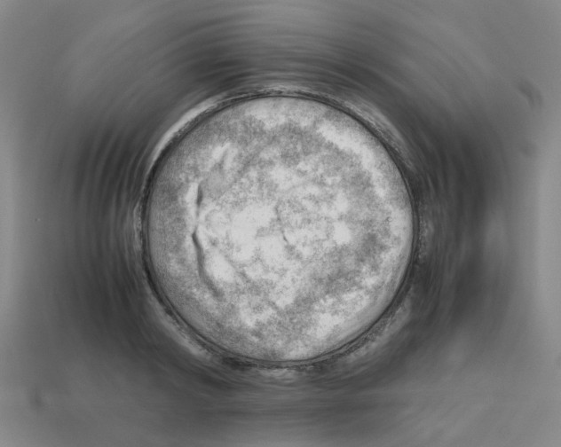 X0000112810798200910021139