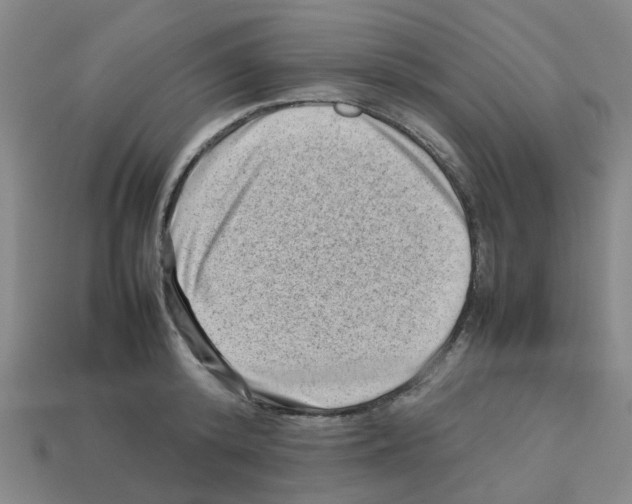 X0000112810800200910021139