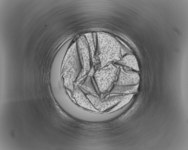 X0000112810801200910021139