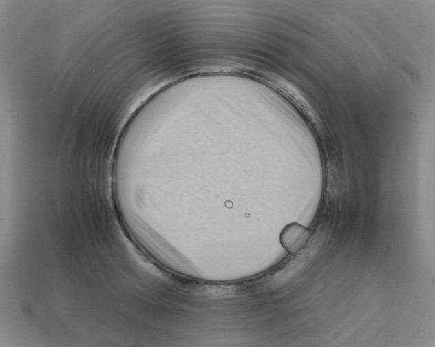 X0000112810802200910021139