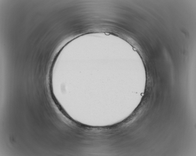 X0000112810803200910021139