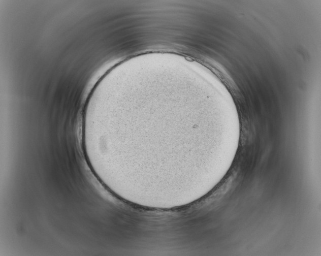 X0000112810804200910021139