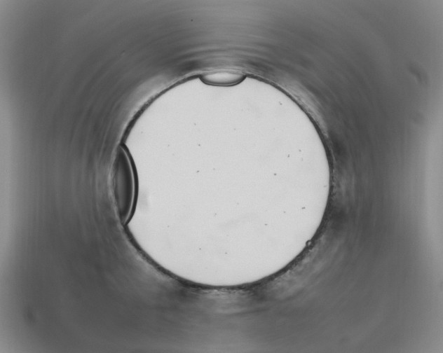 X0000112810805200910021139