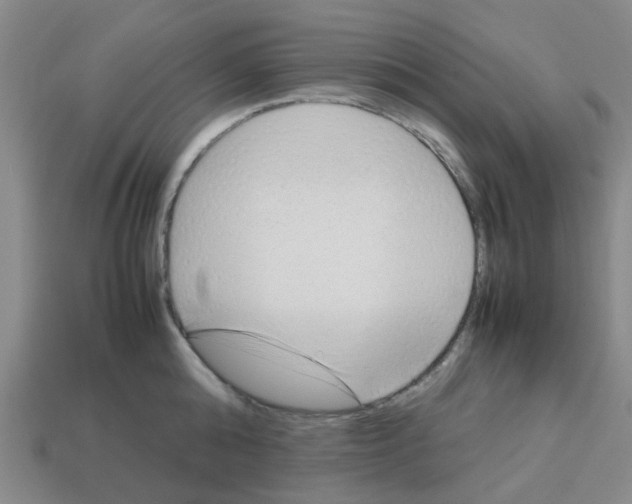 X0000112810808200910021139