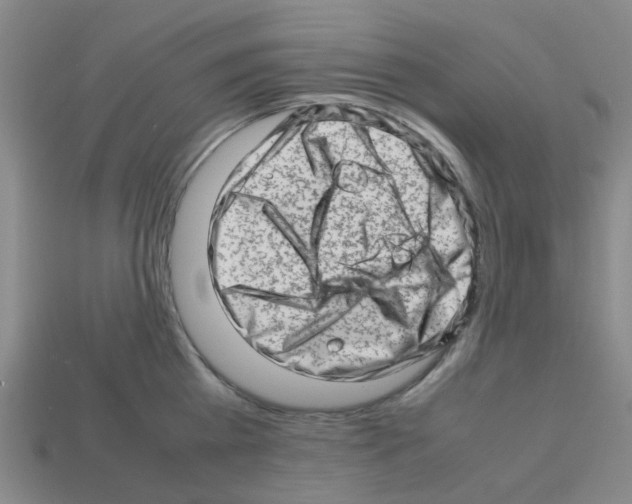 X0000112810809200910021139