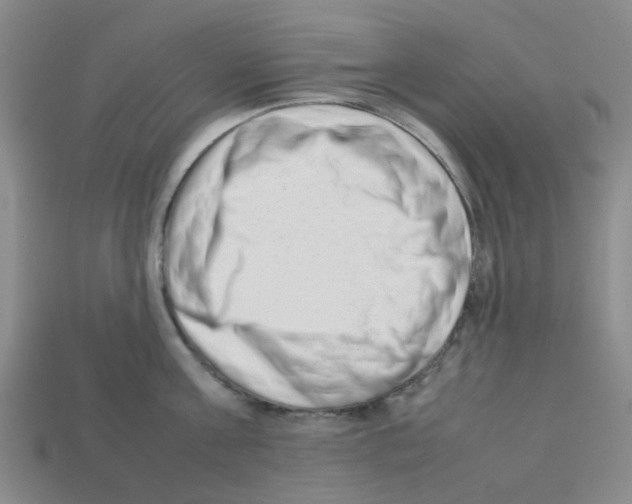 X0000112810811200910021139