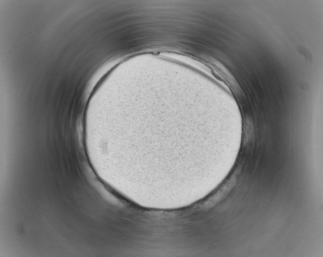 X0000112810812200910021139