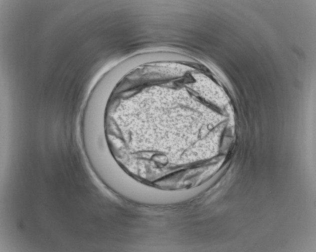 X0000112810813200910021139