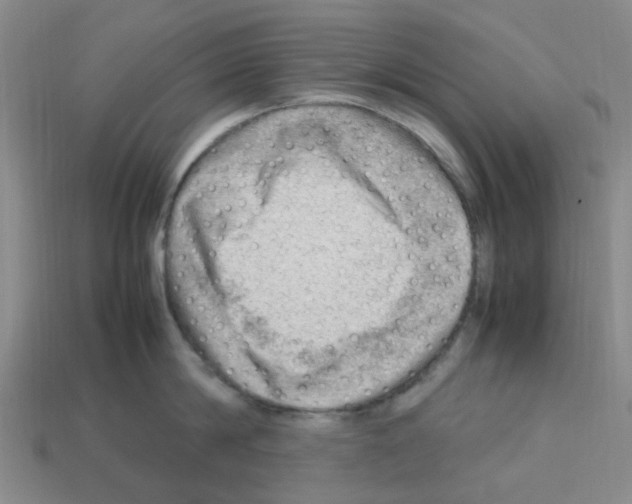 X0000112810814200910021139